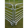Cattle scales
