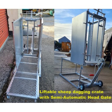 Liftable sheep dagging crate with Semi-Automatic Head Gate